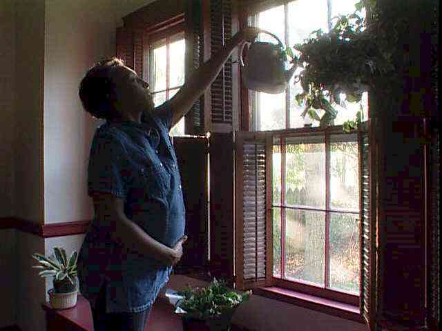 Pregnancy is a risk factor for damaged leg veins.  